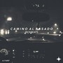 Camino al Pasado