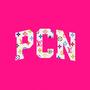 PCN: Lost Files, Vol. 2 (Explicit)
