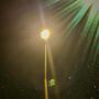 Streetlight