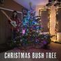 Christmas Bush Tree