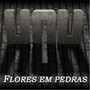 Flores em Pedras