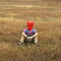 bag head (Explicit)