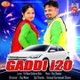 Gaddi i 20