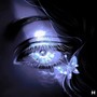feel my heart