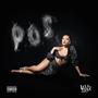 P.O.S. (feat. DJ SKOLi) [Explicit]