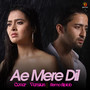 Ae Mere Dil  (Cover Version)