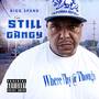 Still Gangy (Explicit)