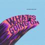 What's Going On (Radio Edit)