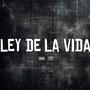 MI VIDA