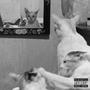 I Should Stop Caring (feat. ZEKE24K) [Explicit]