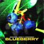 Blueberry (feat. Yontiboy) [Explicit]