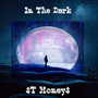 In the Dark (Explicit)