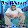 Till The Fed's Come, Vol. 2 (Explicit)