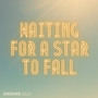 Waiting for a Star to Fall