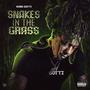 Snakes In The Grass (Explicit)