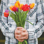 Two Hands, Tulips