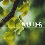 Wild Lo-Fi