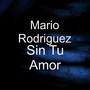 Sin Tu Amor