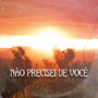 Não Precisei de Você (Explicit)