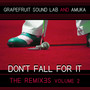 Don't Fall For It - The Remixes, Volume 2