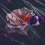 장미 (Rose)