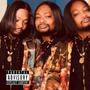 What U Hoes Gone Do? (Explicit)