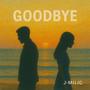 Goodbye