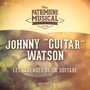 Les légendes de la guitare : Johnny 