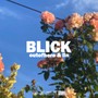 Blick (feat. lin) [Explicit]