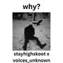 WHY? (feat. Voices_unknöwn) [Explicit]