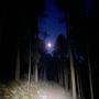 Night Terrors