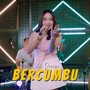 Bercumbu