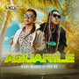 Aguanile (Remix)