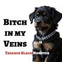 ***** in my Veins (Explicit)