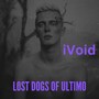 iVoid (Explicit)