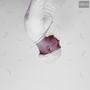Sentimental Ganster (Explicit)