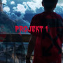 Projekt 1 (Explicit)