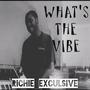 What's The Vibe (Explicit)