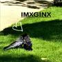 IMXGINX