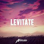 Levitate (Frubi Remix)