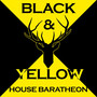 House Baratheon: Black and Yellow (feat. Andy Davison & Kyle Danger Henick) [Explicit]