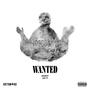 Wanted (feat. Jay pee) [Explicit]