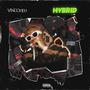 HYBRID (Explicit)