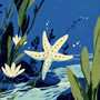sea depth tone