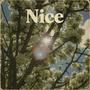 Nice (feat. Steven Lamar Moore)