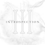 Chapter III: Introspection