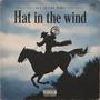 Hat in the wind