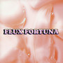 FLUX FORTUNA (Explicit)