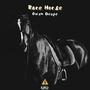 Rare Horse (Explicit)