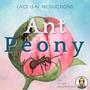 Ant Peony